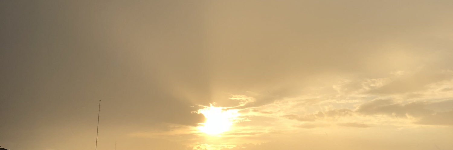 PreciousLuiz's profile banner image