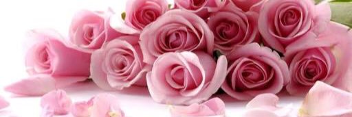 sherlypurple's profile banner image