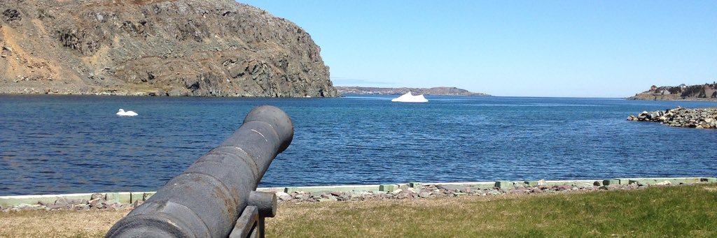 Alexander Fitzpatrick banner