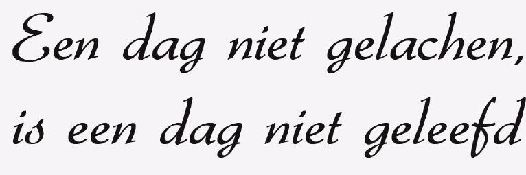 Elisa banner