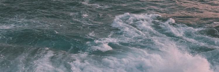 vicaintal's profile banner image