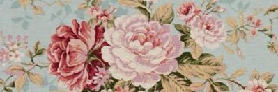 Carolina Girl 👒 banner