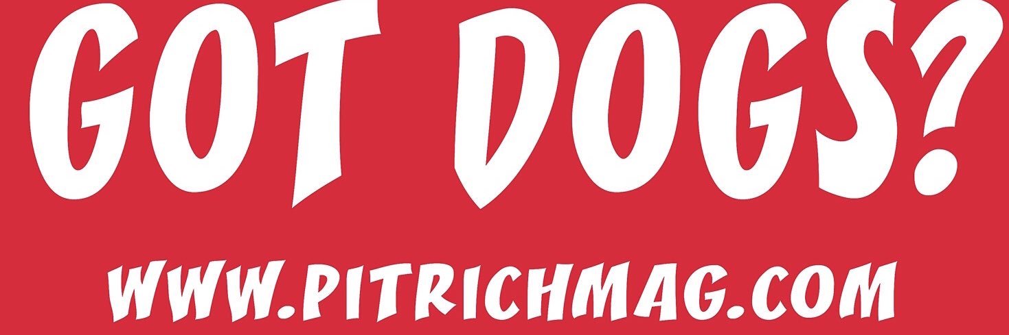pitrich4dogs's profile banner image