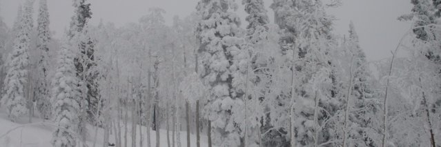 vivdp's profile banner image