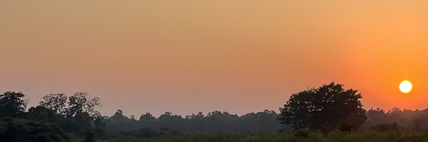 Daliemama's profile banner image
