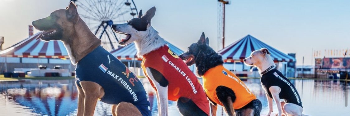 The Canine Stars banner