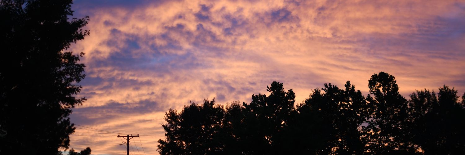Reneecyr5's profile banner image