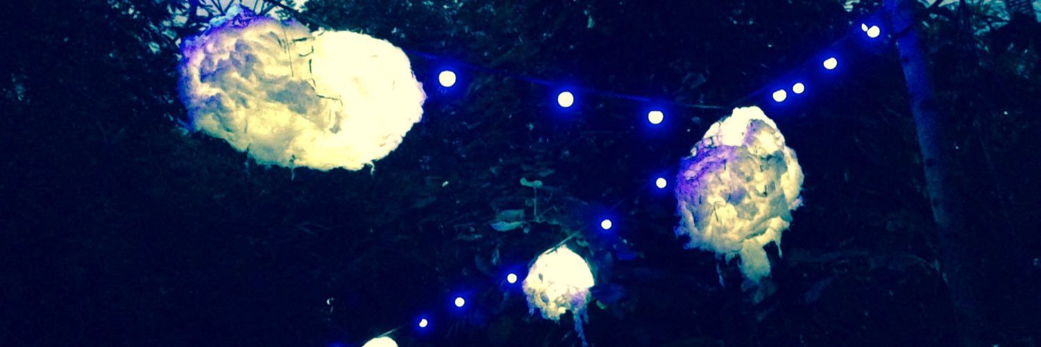 Mae_Gaynor's profile banner image