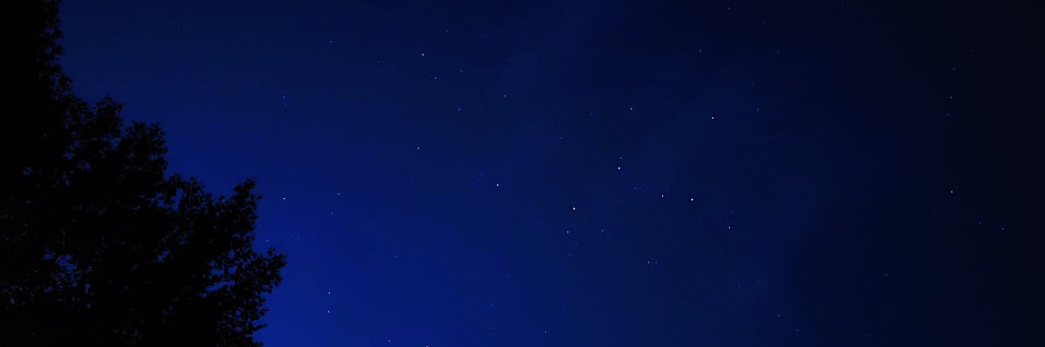 Pauli_Slnr's profile banner image