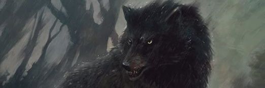 _vic_1219's profile banner image
