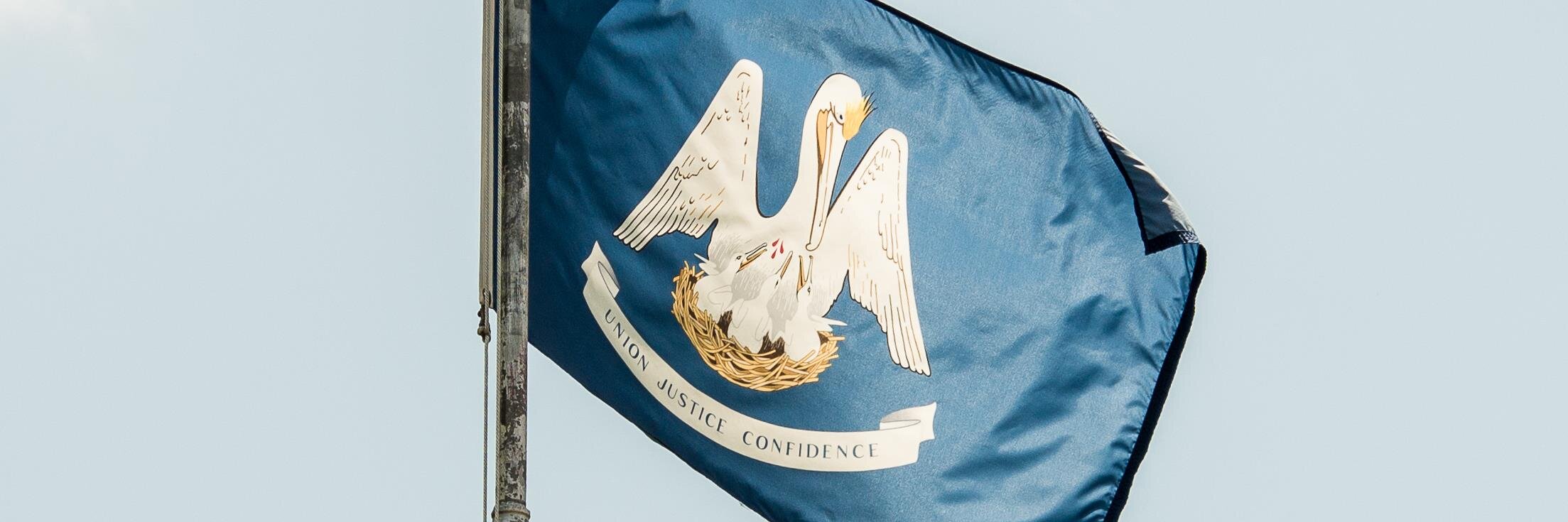 VettingVitter's profile banner image