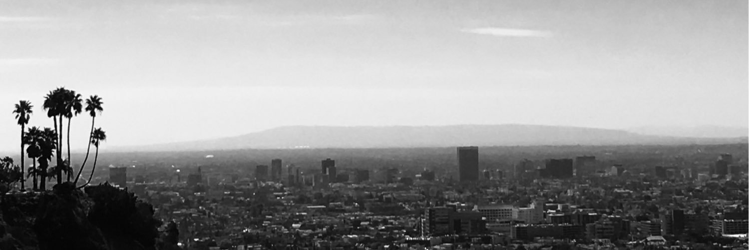 BadLADriver's profile banner image