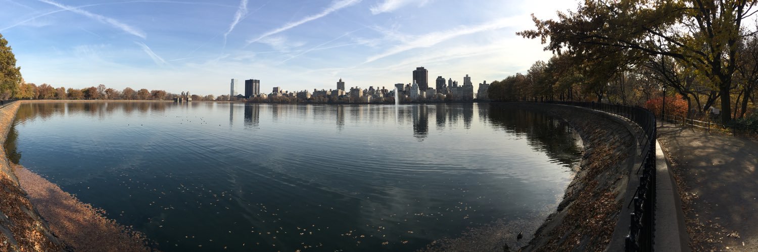 Sari banner