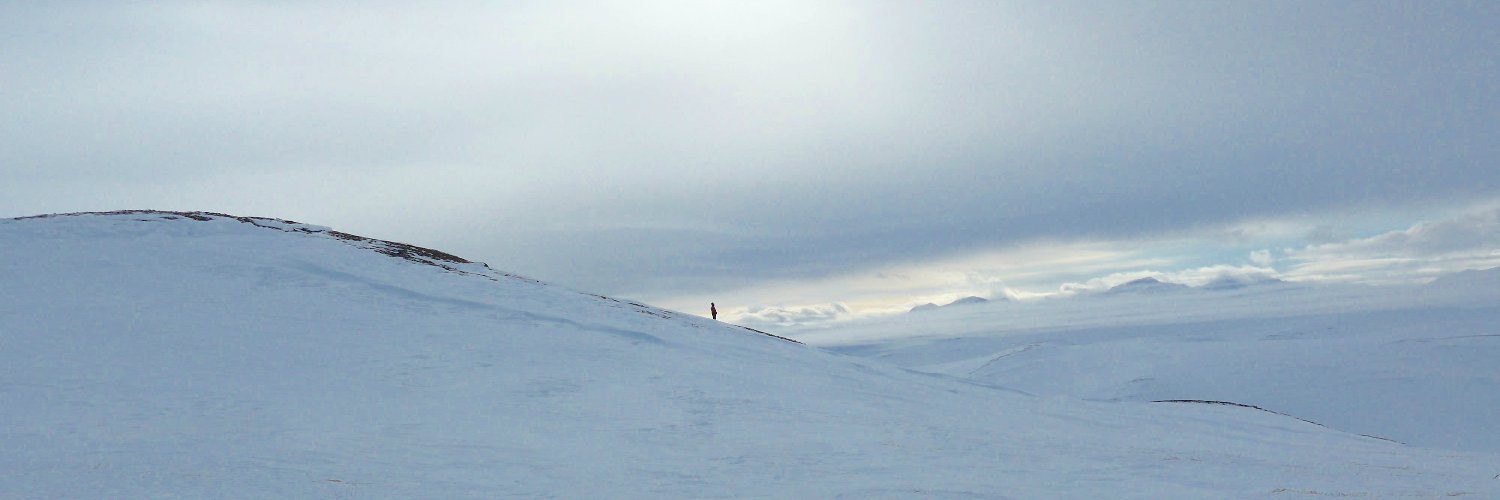 Nicole Casal Moore banner