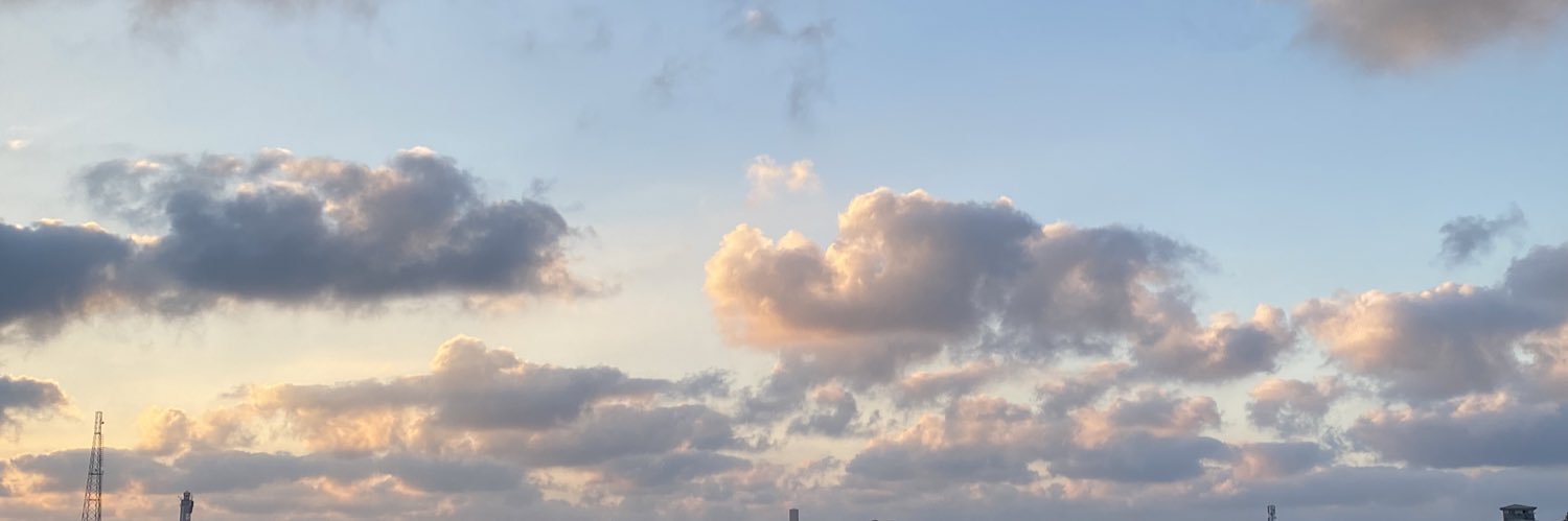 daliashahin's profile banner image