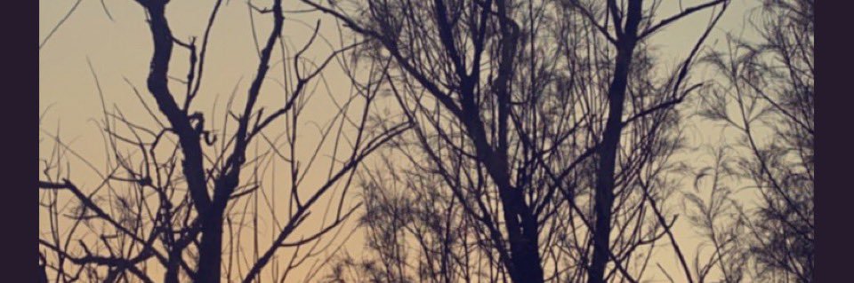 marrif15's profile banner image