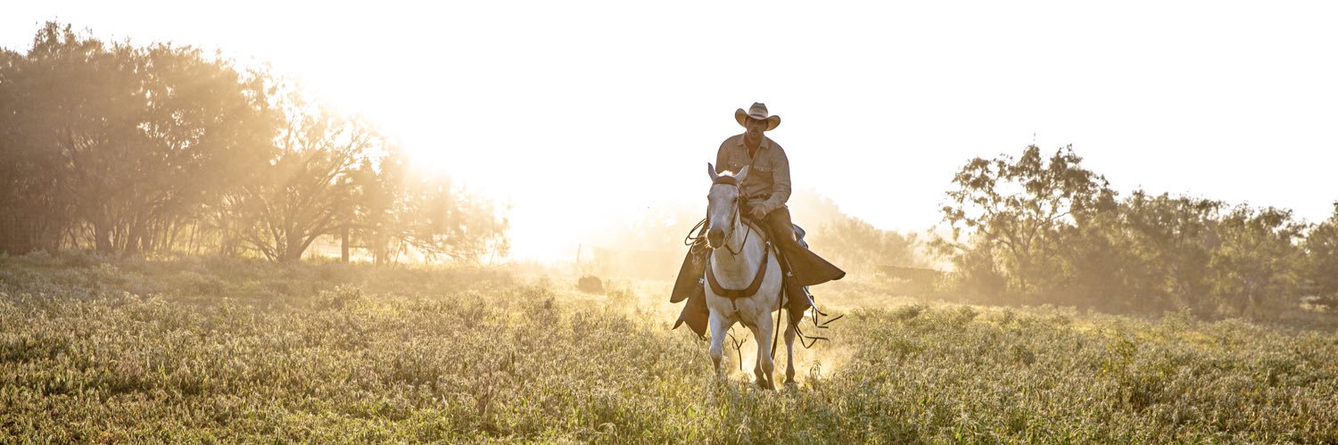 TheTexasTailor's profile banner image