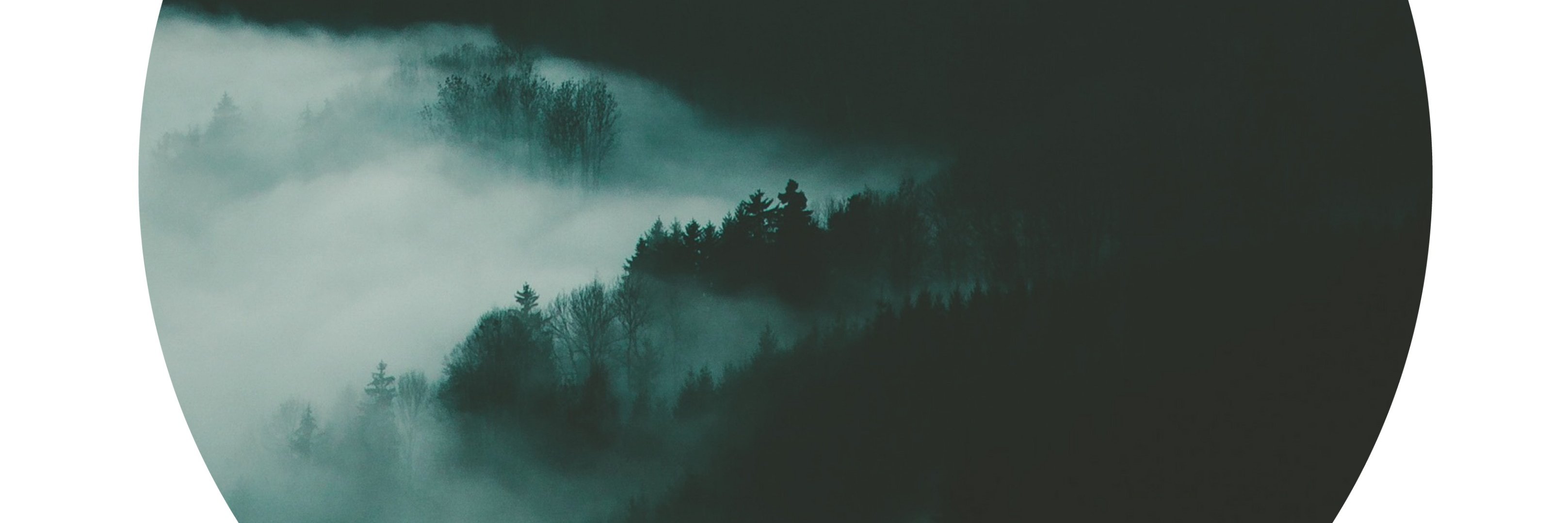 arrowskincenter's profile banner image
