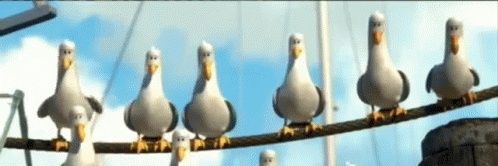 seagullpaul's profile banner image