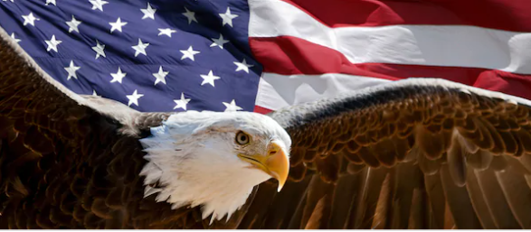 EldoradoWilson's profile banner image