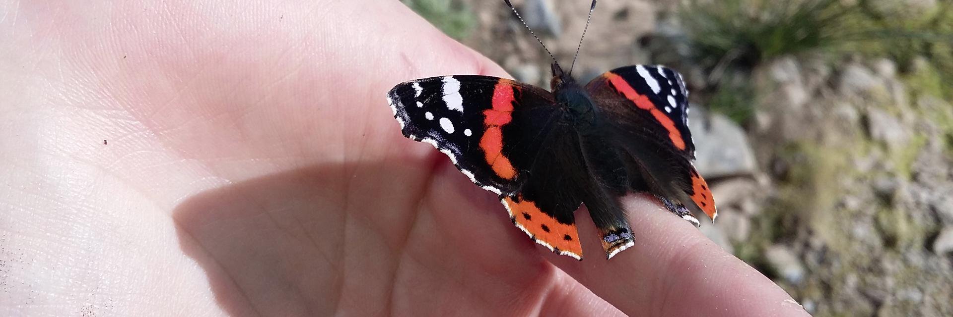 Victoria Abon banner