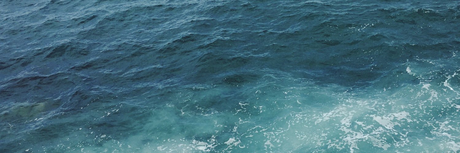 monicaleonortiz's profile banner image