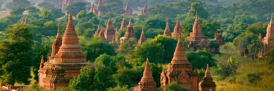 richard willey banner