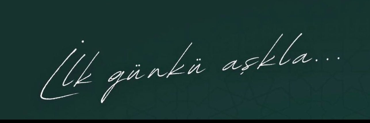 boynikolu's profile banner image
