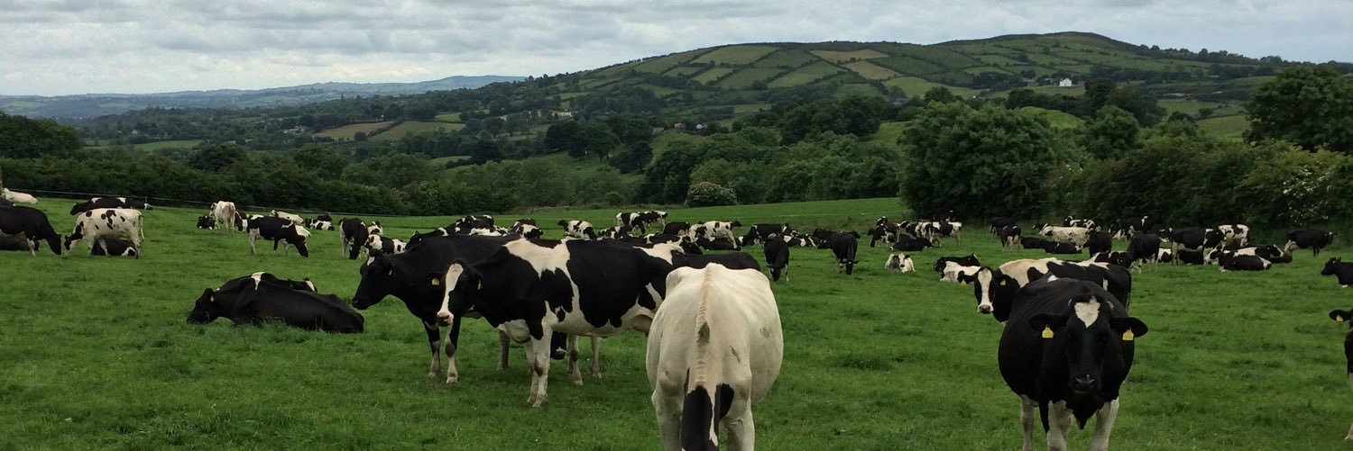 fergal fitzpatrick🐄 banner
