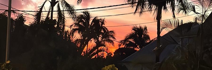 1stAlec's profile banner image