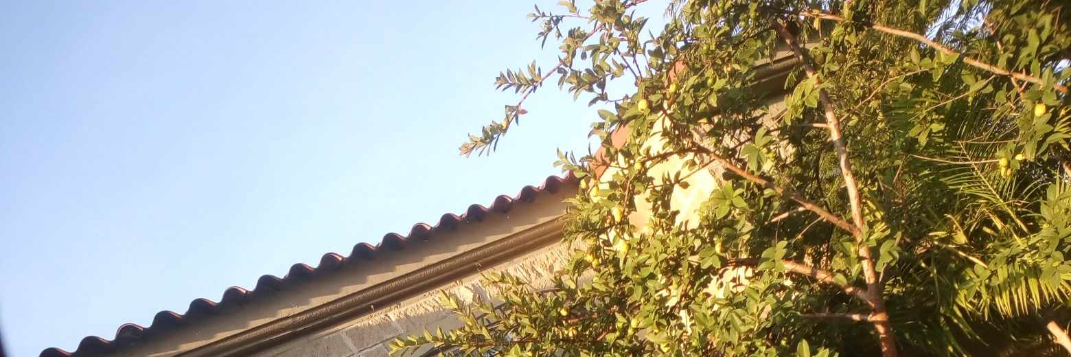 JorgeTorresTor5's profile banner image