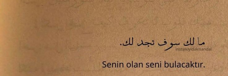 zeyneppcarr's profile banner image