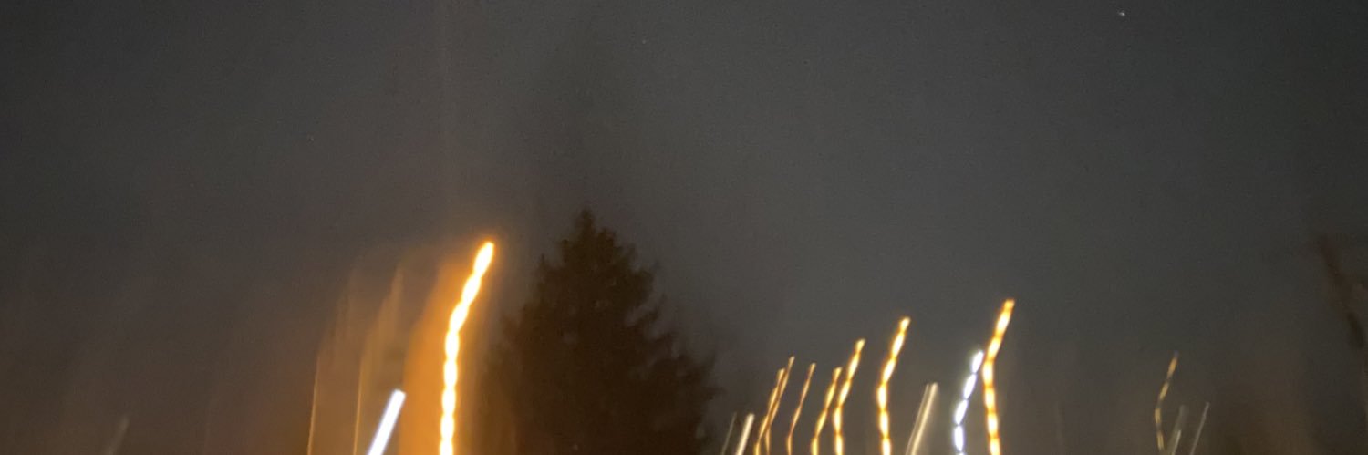 evolinooo's profile banner image