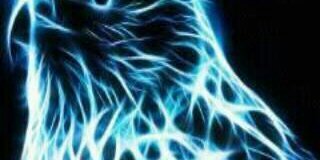 paradanta04's profile banner image