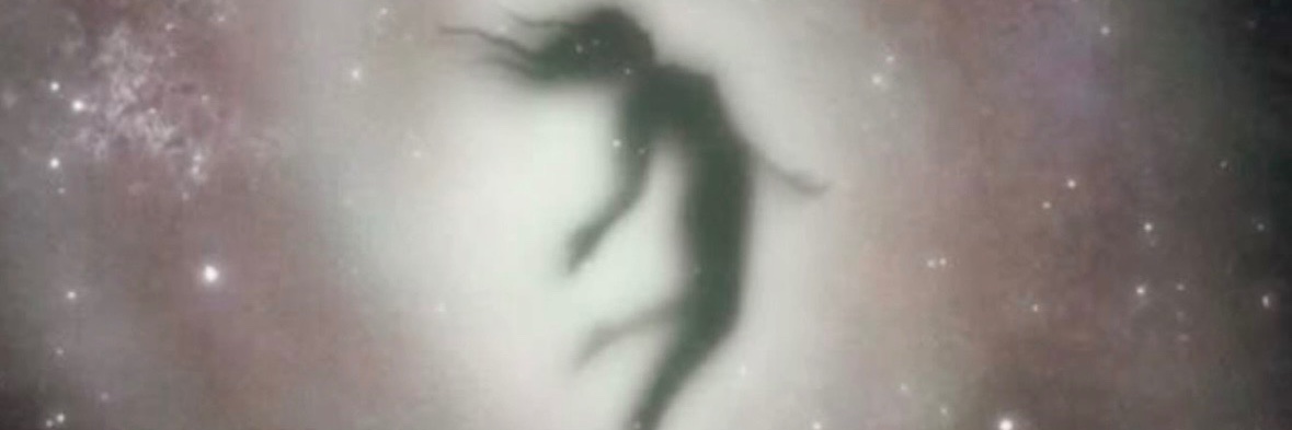 daxam955's profile banner image