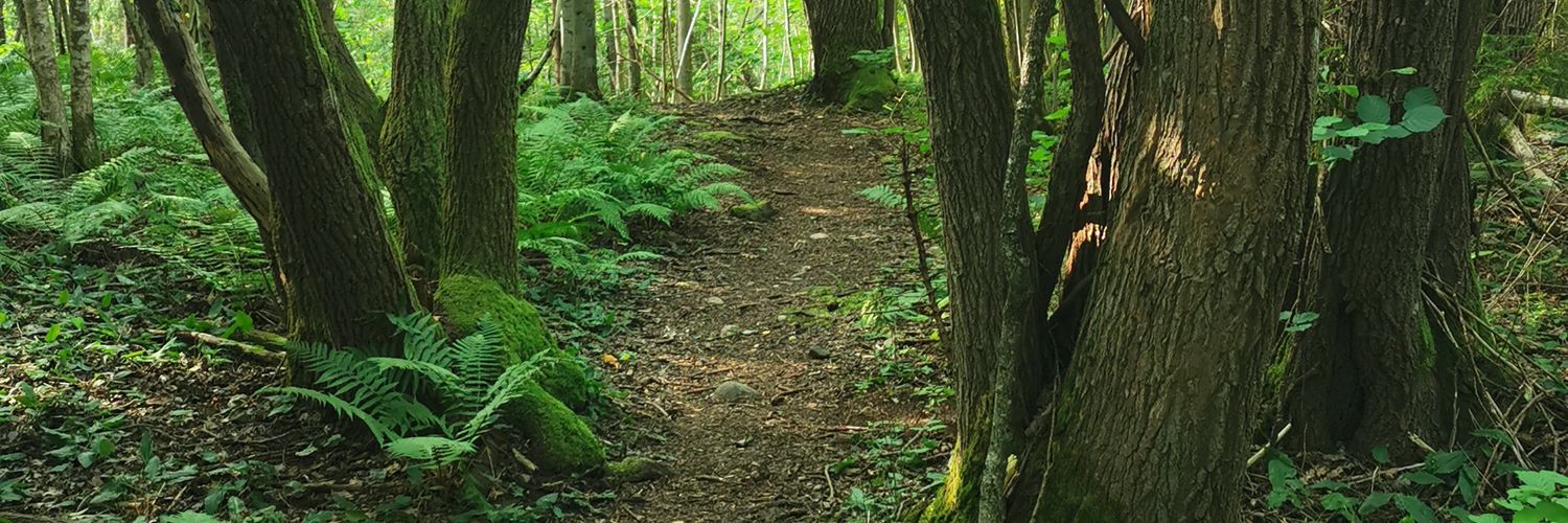 Llama 🦙 🍂 🏳️‍🌈 banner