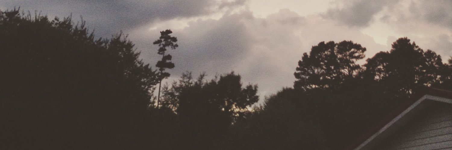 winterthereign's profile banner image