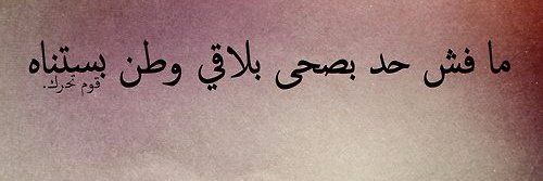 Saria banner