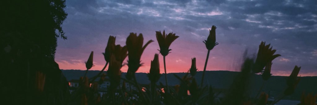 MarkB_EP's profile banner image