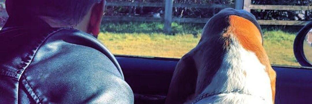 decky774's profile banner image