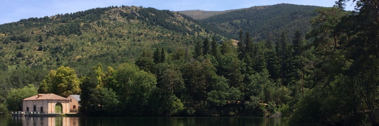 Álvaro banner