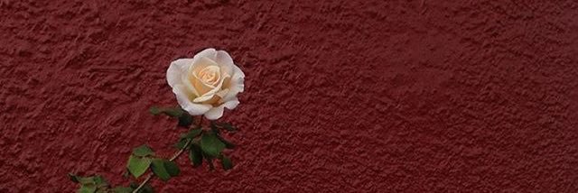 Morgann_ONeil's profile banner image