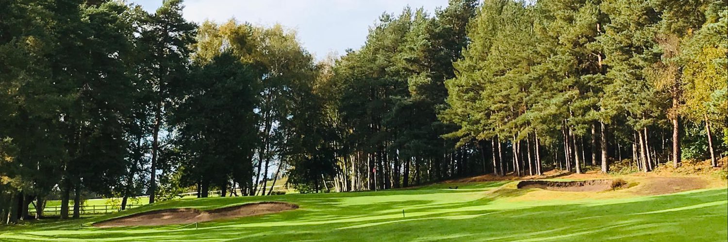 Marketrasengc's profile banner image