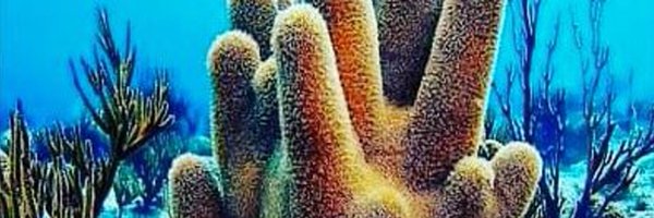 ICR_Observatory Profile Banner