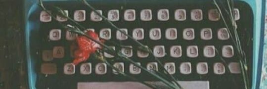 Cami_Sanchz's profile banner image