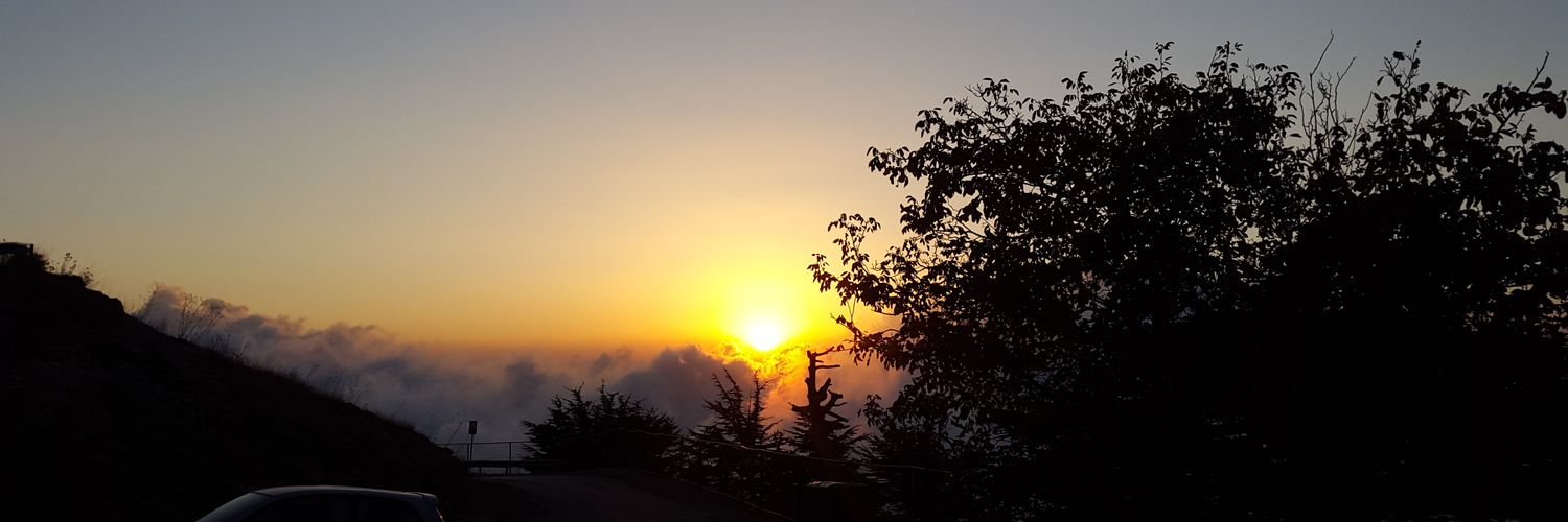 Saraboukamel's profile banner image