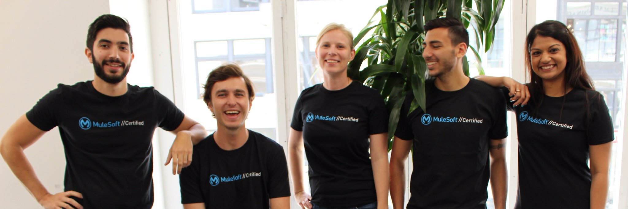 learnmulesoft's profile banner image
