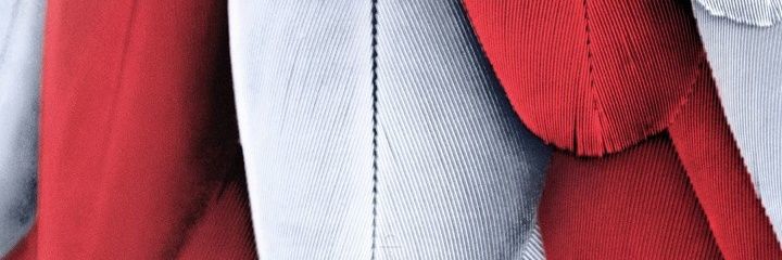adrianmoraga25's profile banner image