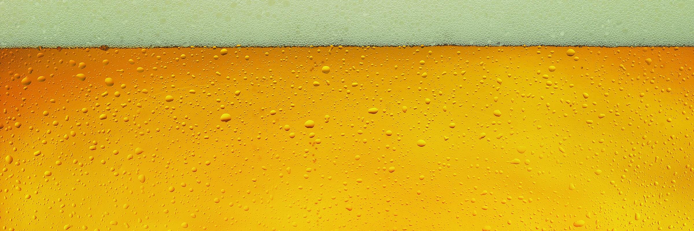 Draught Charlotte banner