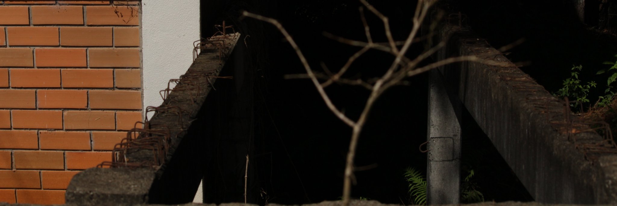 ednadborges's profile banner image